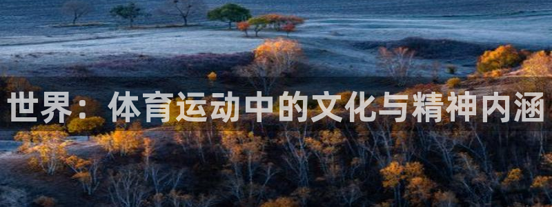 尊龙官方正版app娱乐网站:世界:体育运动中的文化与精神内涵