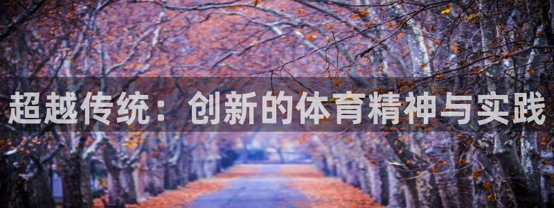 尊龙官网下载平台是正规平台吗安全吗:超越传统:创新的体育精神