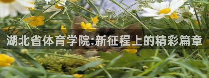 尊龙官方正版app五金厂:湖北省体育学院:新征程上的精彩篇章