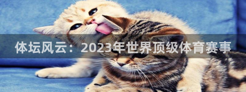 尊龙官网下载平台:体坛风云:2023年世界顶级体育赛事