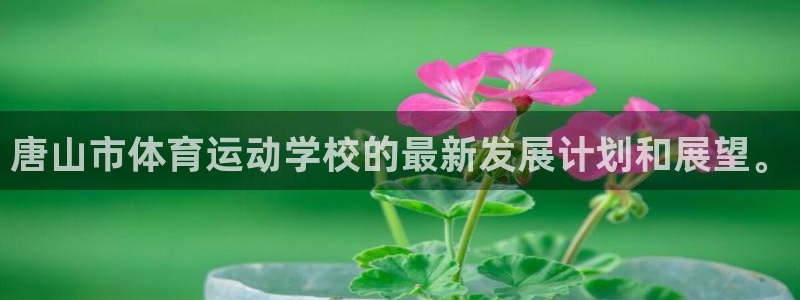 尊龙官网下载平台注册要钱吗:唐山市体育运动学校的最新发展计划