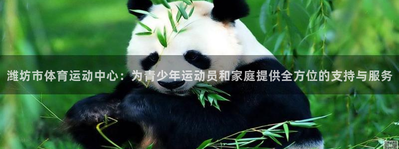 尊龙官网下载注册:潍坊市体育运动中心:为青少年运动员和家庭提